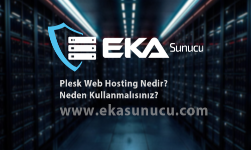Plesk Web Hosting Nedir ve Neden Kullanmalısınız?