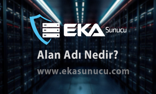 Alan Adı Nedir?