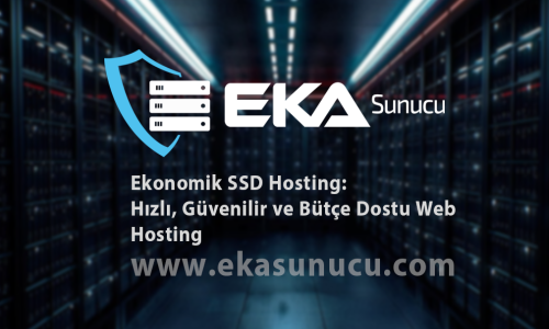 Ekonomik SSD Hosting: Hızlı, Güvenilir ve Bütçe Dostu Web Hosting