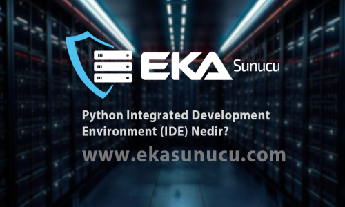 Python Integrated Development Environment (IDE) Nedir?