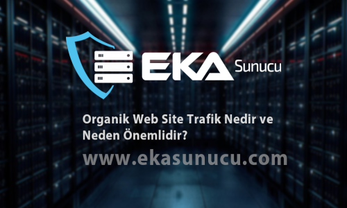 Organik Web Site Trafiği