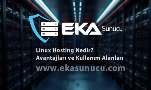 Linux Hosting Nedir? Avantajları ve Kullanım Alanları