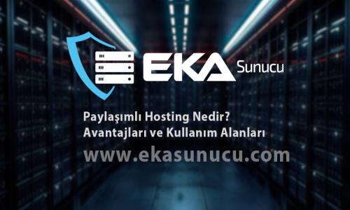 Paylaşımlı Hosting Nedir? Avantajları ve Kullanım Alanları