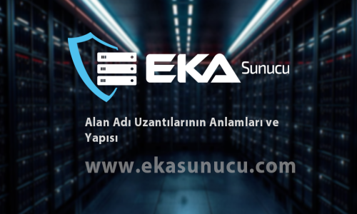 Alan Adı Uzantılarının Anlamları ve Yapısı