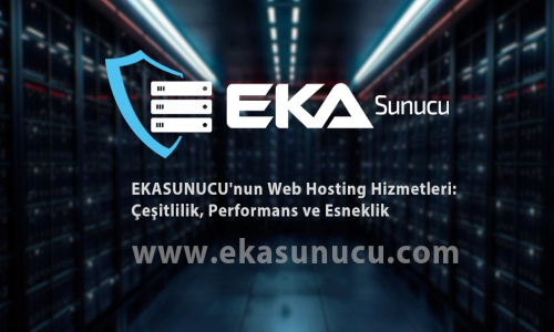 EKASUNUCU'nun Web Hosting Hizmetleri: Çeşitlilik, Performans ve Esneklik